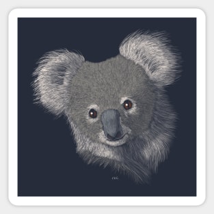 Koala Sticker